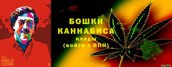 дмт Рославль