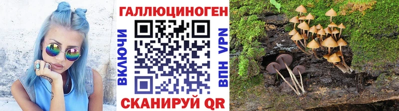 omg ссылка  Кола  Галлюциногенные грибы Magic Shrooms  сколько стоит 